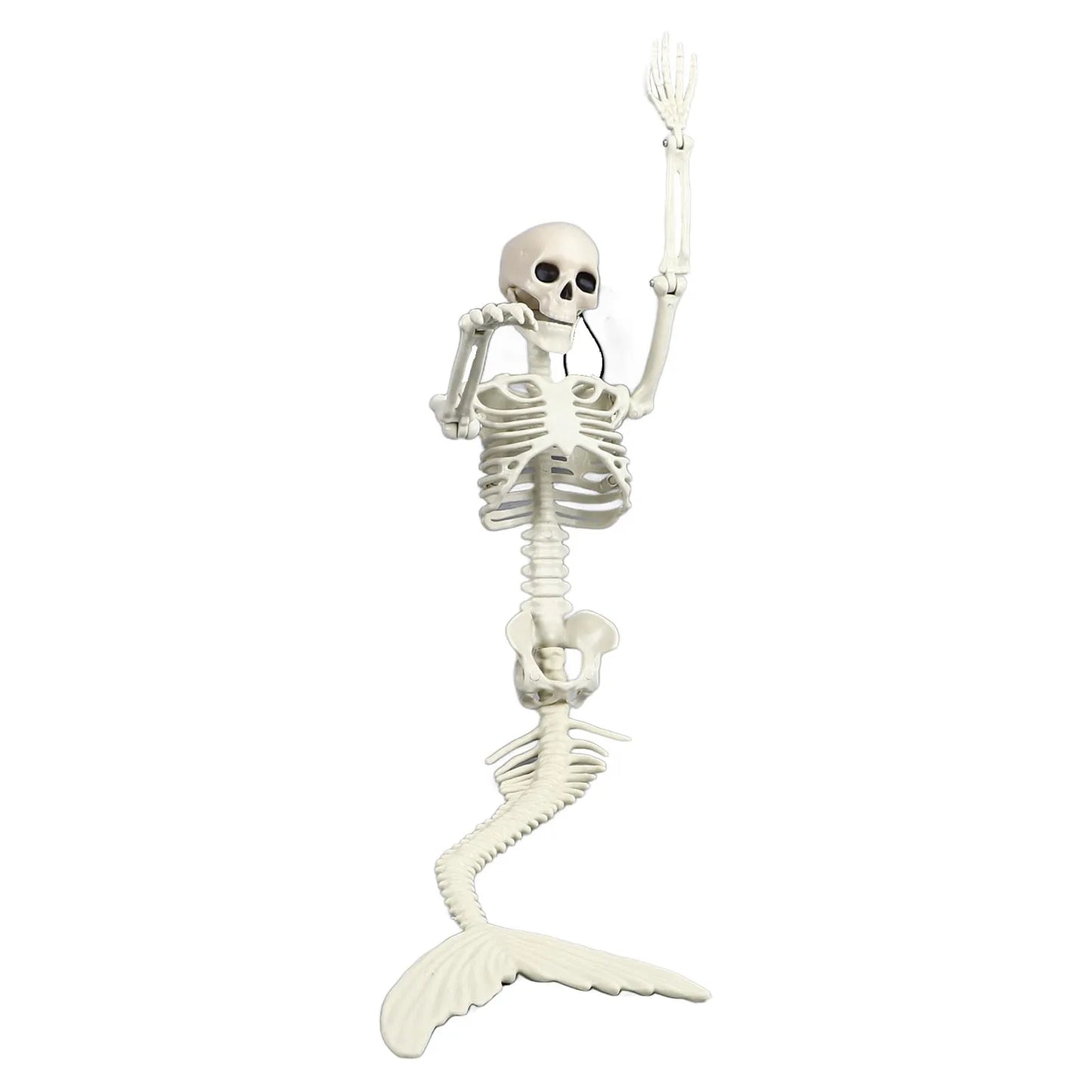 Skeleton Decorations Halloween Skeleton