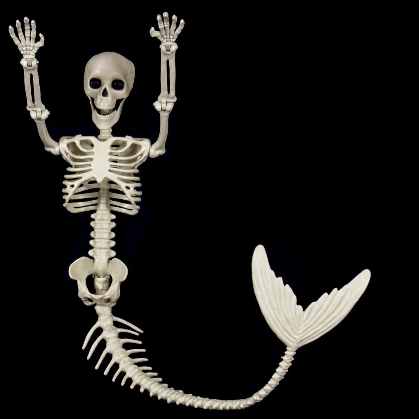 Skeleton Decorations Halloween Skeleton