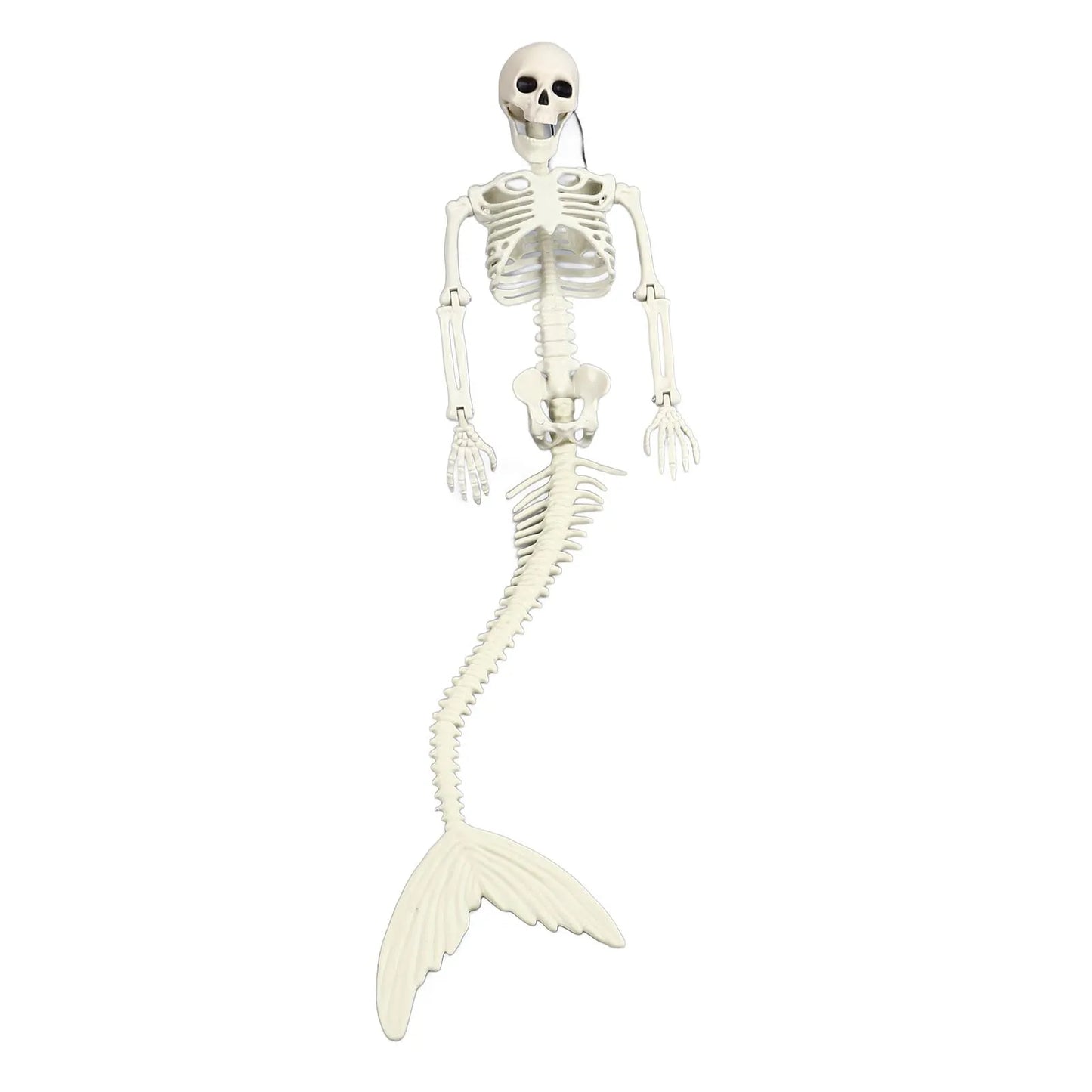 Skeleton Decorations Halloween Skeleton