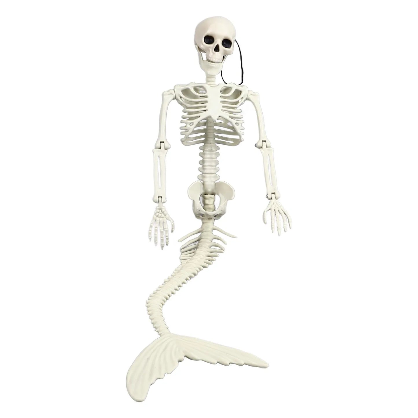 Skeleton Decorations Halloween Skeleton