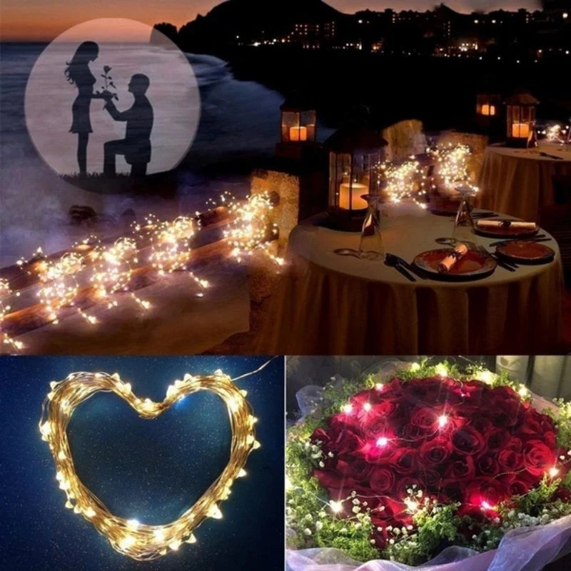 Solar LED Fairy Lights With 100 LEDs For Outdoor Decor