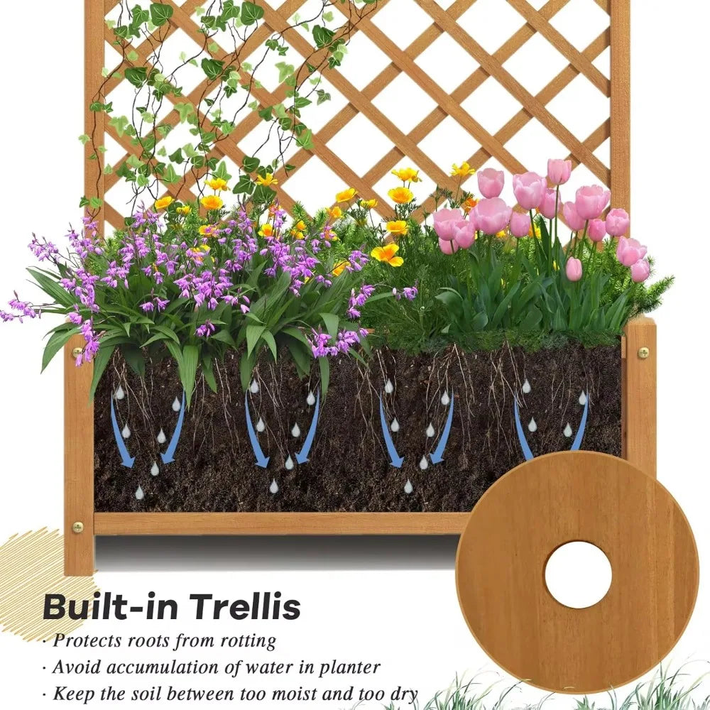 Raised Garden Bed Outdoor