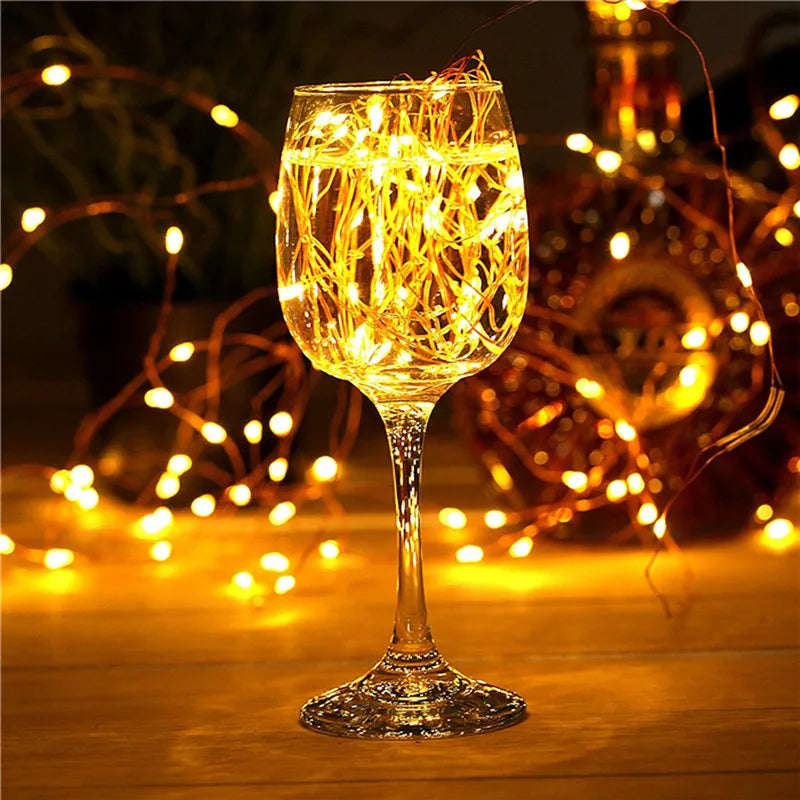 Solar LED Fairy Lights With 100 LEDs For Outdoor Decor