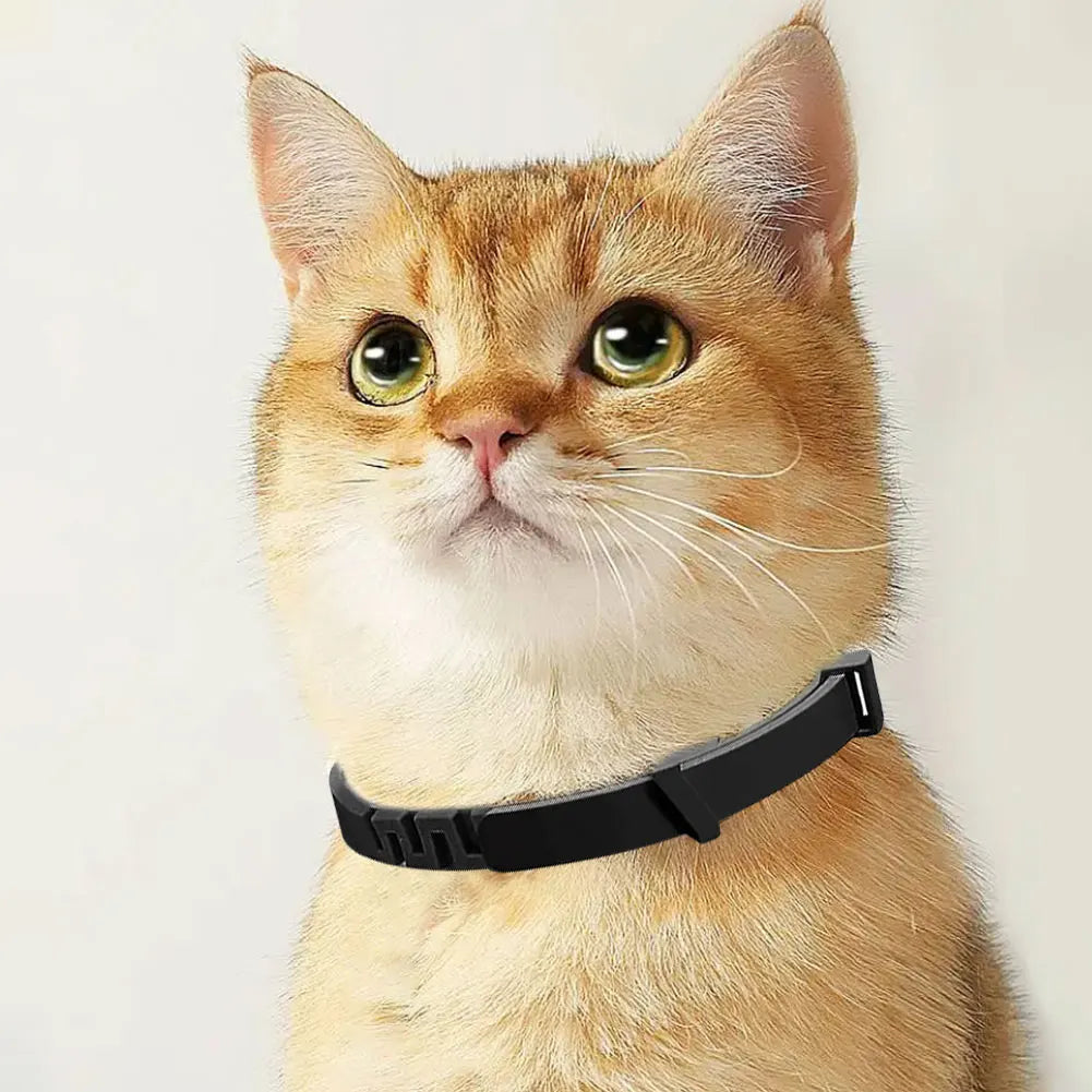 Pet Calming Collar