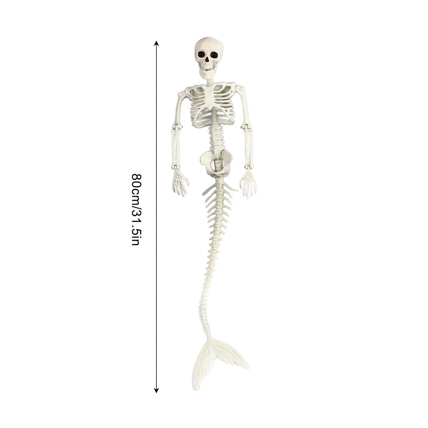 Skeleton Decorations Halloween Skeleton