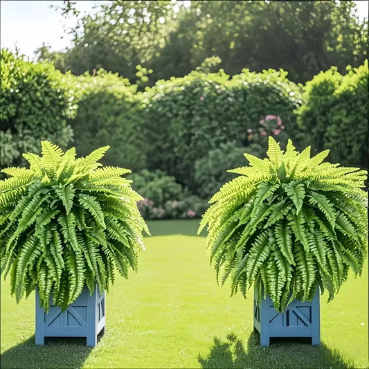 Elegant Boston Fern Artificial Plants Duo For Indoor Decor