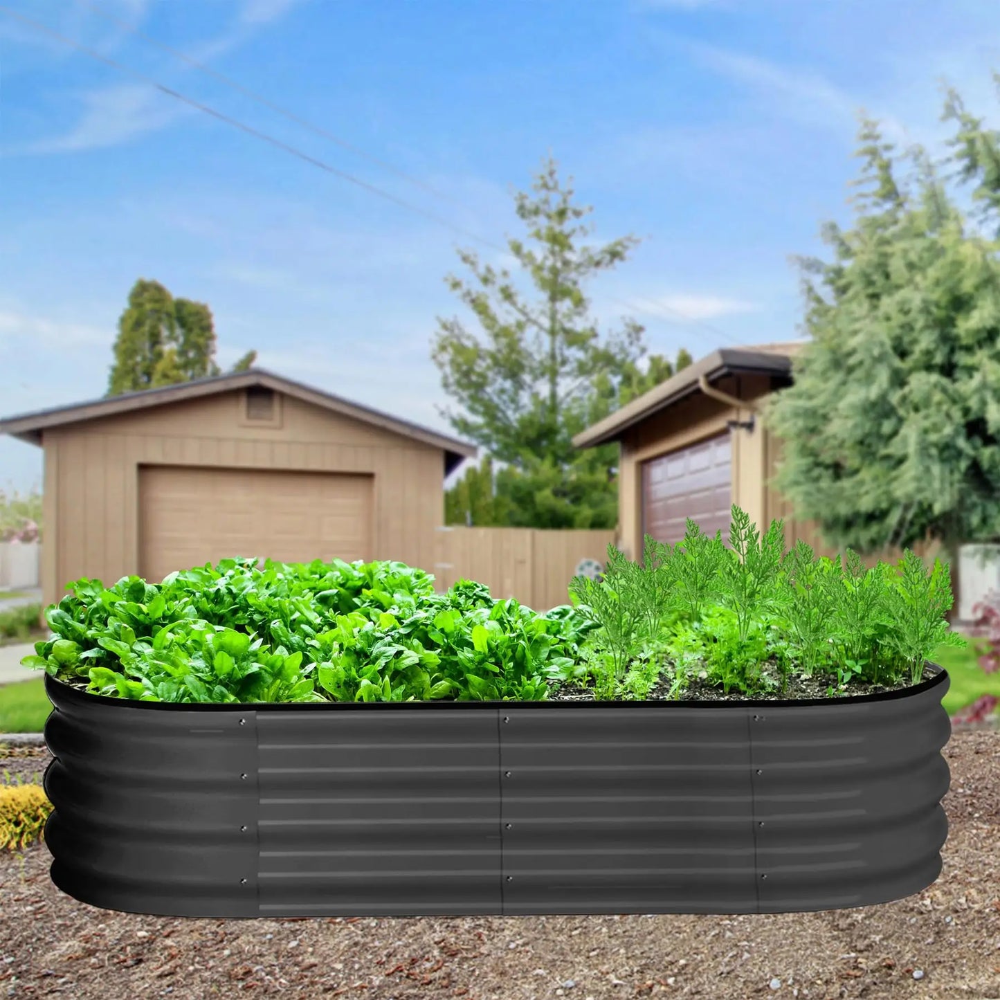 2 Pack Oval Galvanized Steel Raised Garden Bed Open Base