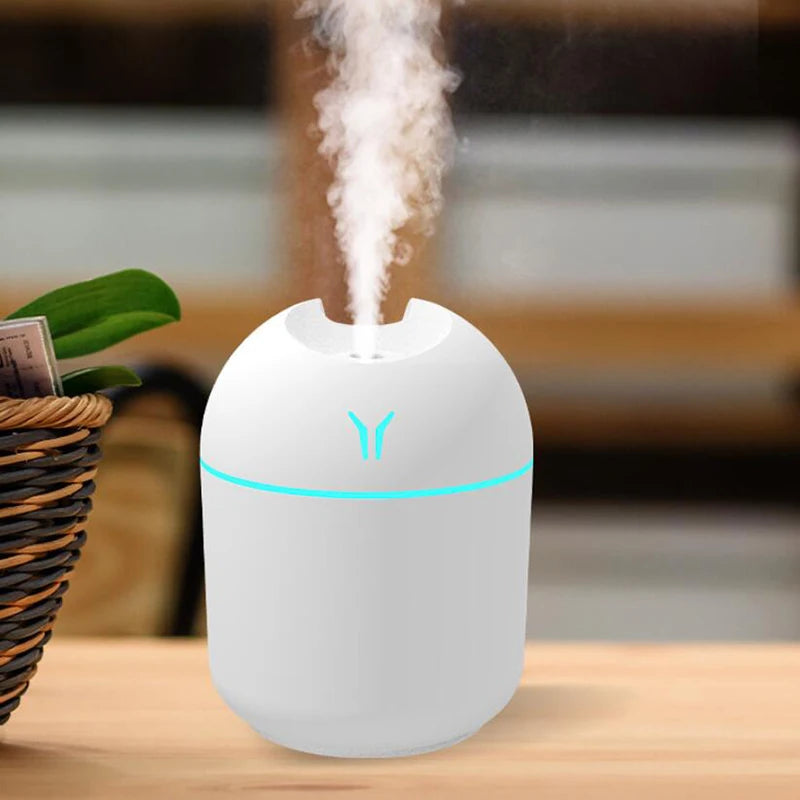 Portable Essential Oil Diffuser Humidifier For Home Aromatherapy