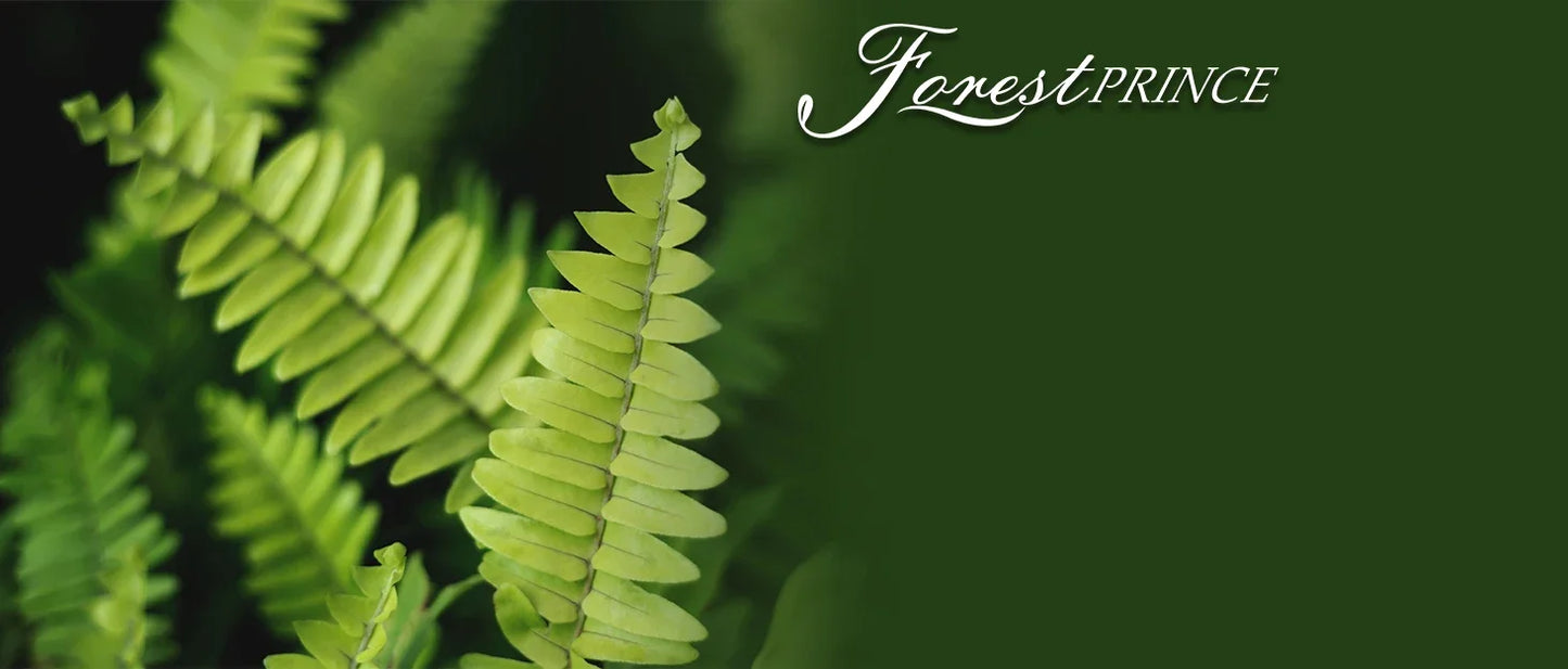 Two Artificial Boston Ferns for Outdoors Home Decor