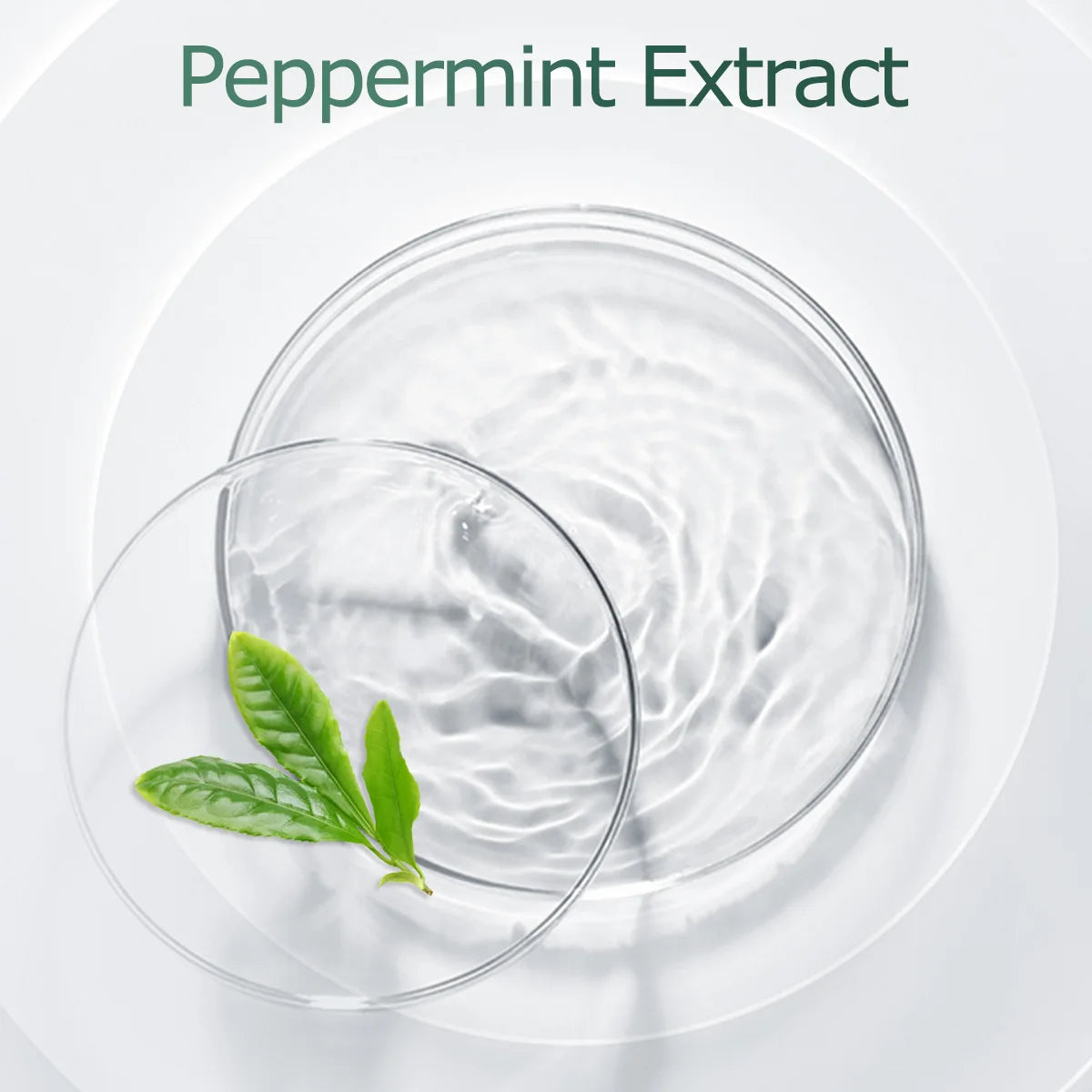 Tea Tree Essential Oil Singles For Aromatherapy Use