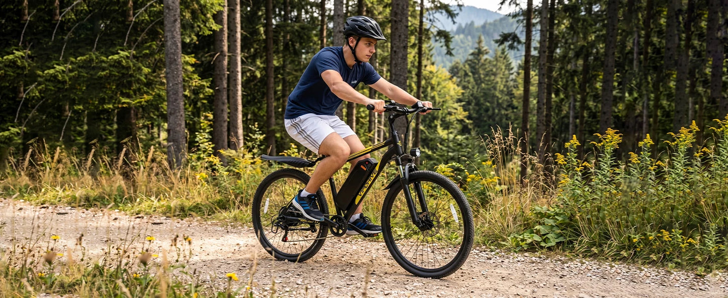 VIPDRIVE Defier 1.1 Electric Bike 750W Peak Motor Pro