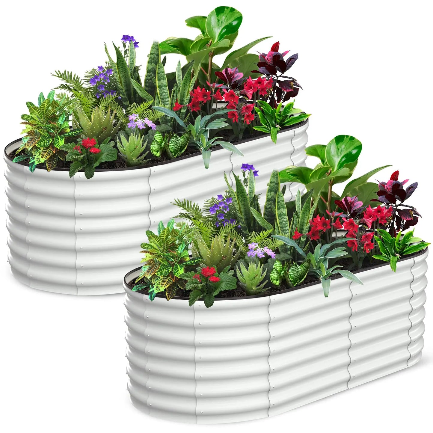2 Pack Oval Galvanized Steel Raised Garden Bed Open Base