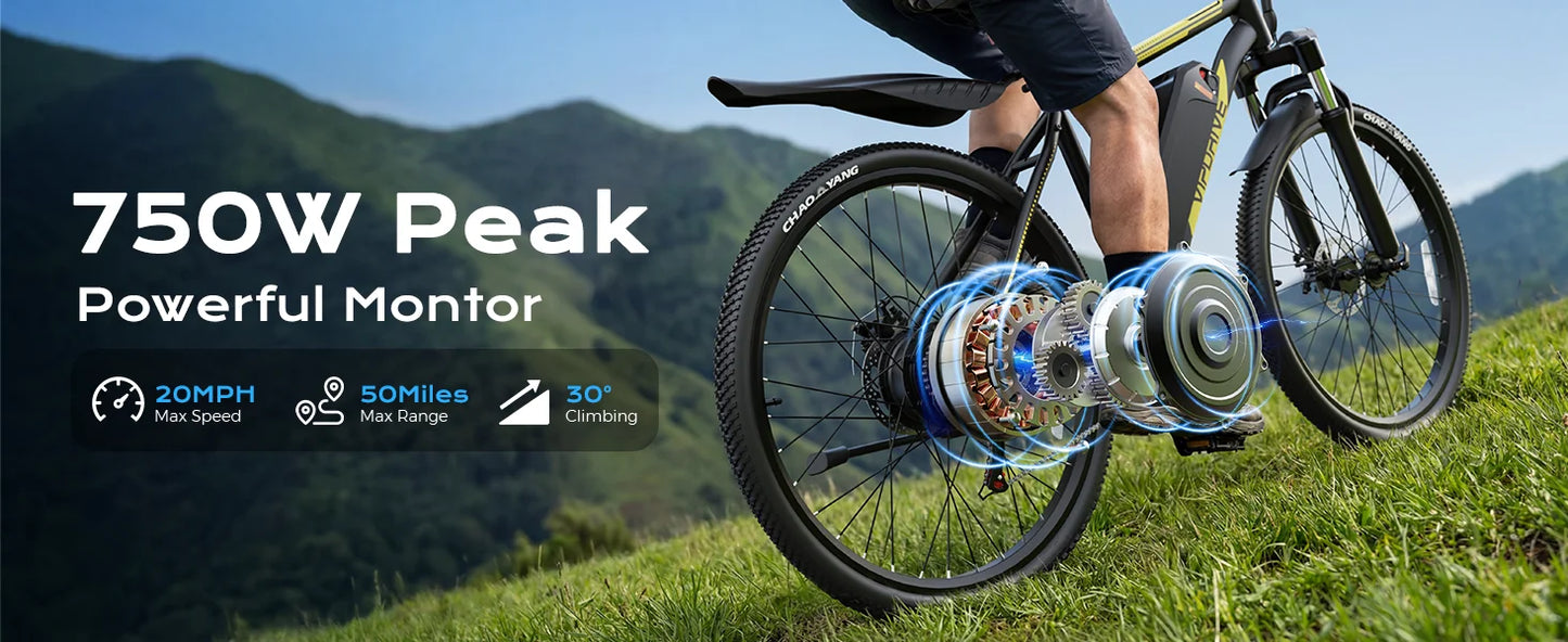 VIPDRIVE Defier 1.1 Electric Bike 750W Peak Motor Pro