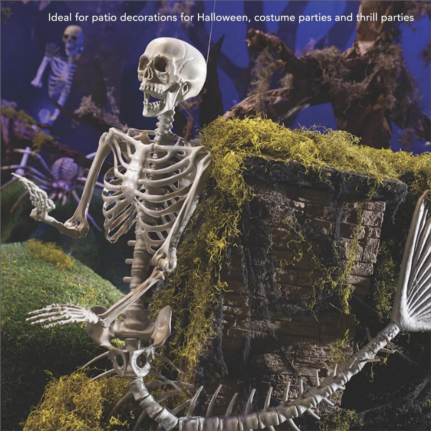 Skeleton  Decorations Halloween Skeleton
