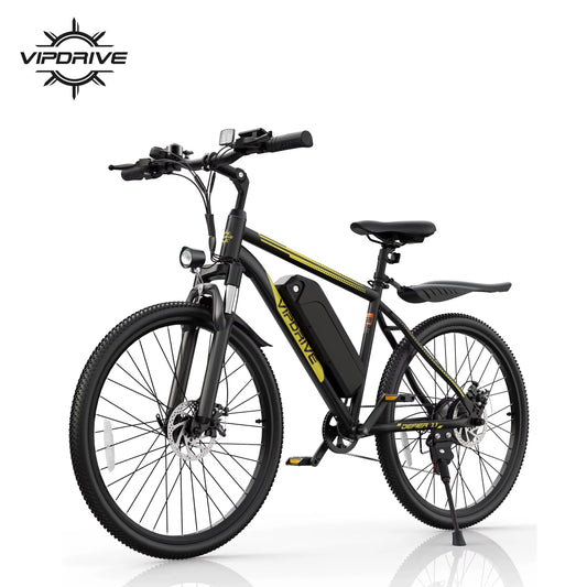 VIPDRIVE Defier 1.1 Electric Bike 750W Peak Motor Pro