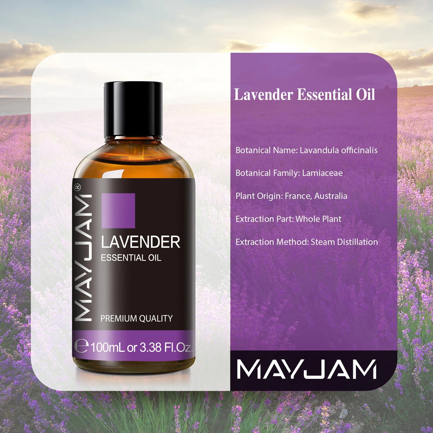 MAYJAM Essential Oils Lavender Vanilla Fragrance Oil For Massage