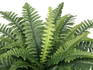 Two Artificial Boston Ferns for Outdoors Home Decor