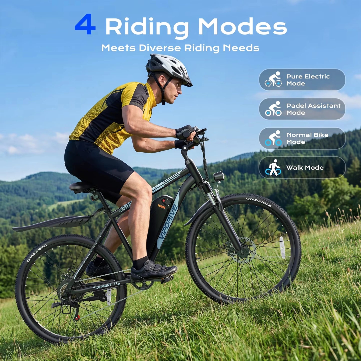 VIPDRIVE Defier 1.1 Electric Bike 750W Peak Motor Pro