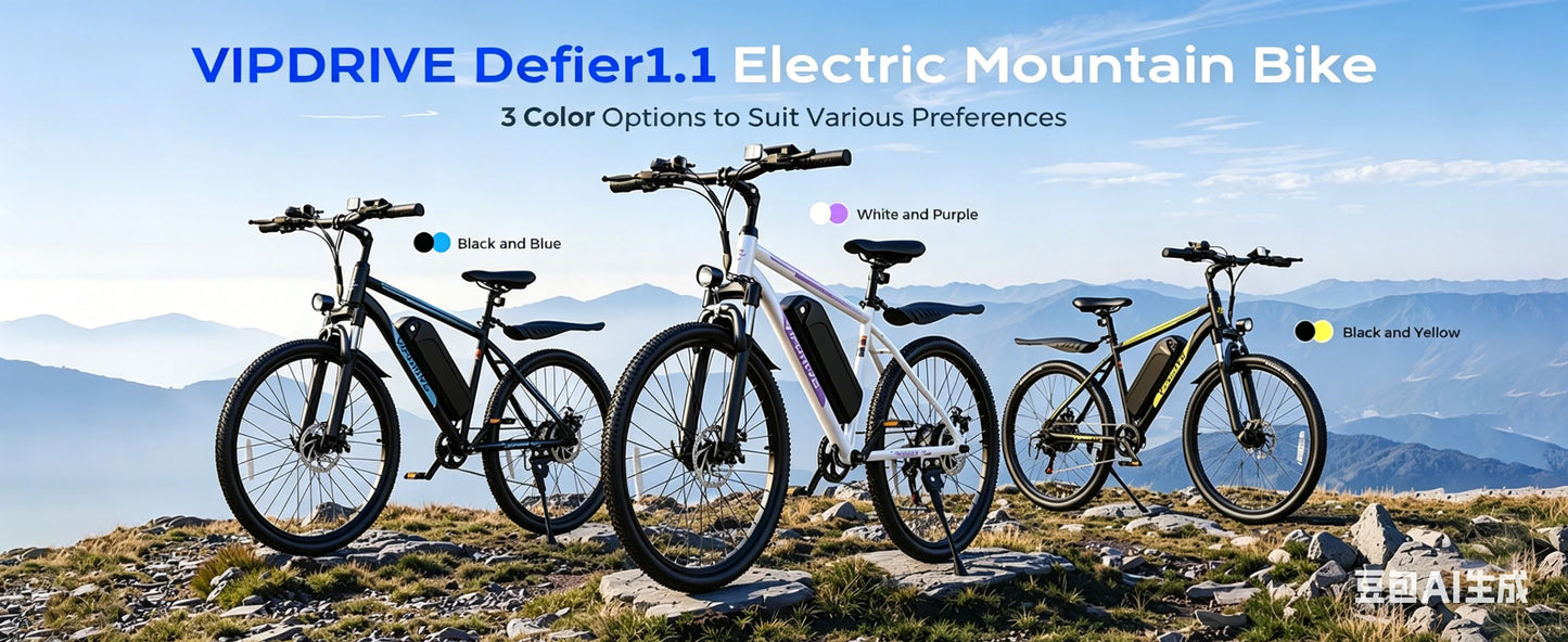VIPDRIVE Defier 1.1 Electric Bike 750W Peak Motor Pro