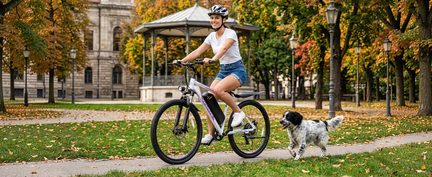 VIPDRIVE Defier 1.1 Electric Bike 750W Peak Motor Pro